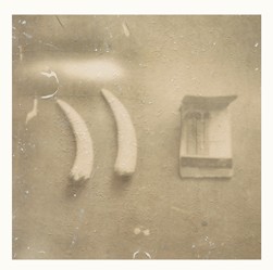 saebelzahntiger zaehne mit streichholzbriefli_web