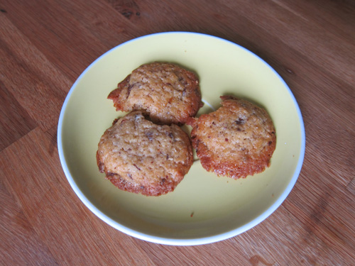 these last three cookies ....and a certain someone who took a little bite of every single one