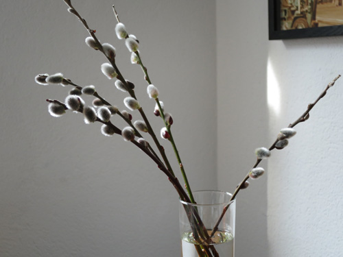 some willow catkins ....not as colorful as flowers but grown wild and fascinating for little hands