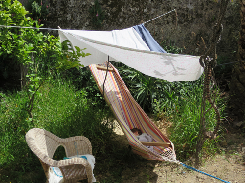 a hammock ....and the garden that comes with it