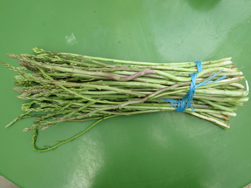 wild asparagus ....and for being a bouquet for the 30 minutes before being cooked