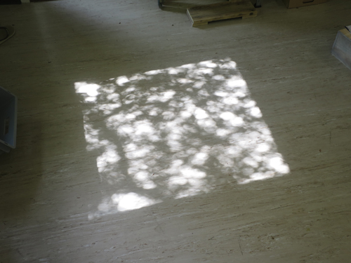 Trees and shadows ....the sun puts pretty prints on my studio floor lately