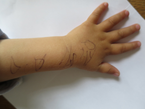 this drawing ....strawberries and fishes were too important to draw on paper