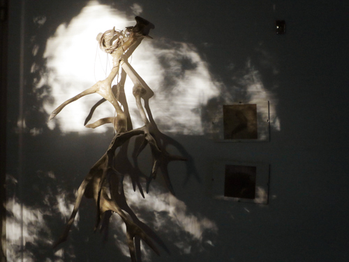 this last spot of evening sun ....made me smile while working late in the studio 