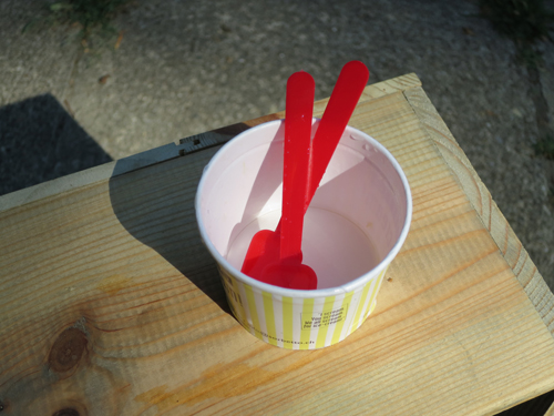 ice cream with two spoons ....we shared a ginger limes sorbet on the stairs just outside the studio in the late afternoon sun